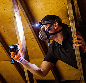 home inspection home inspector